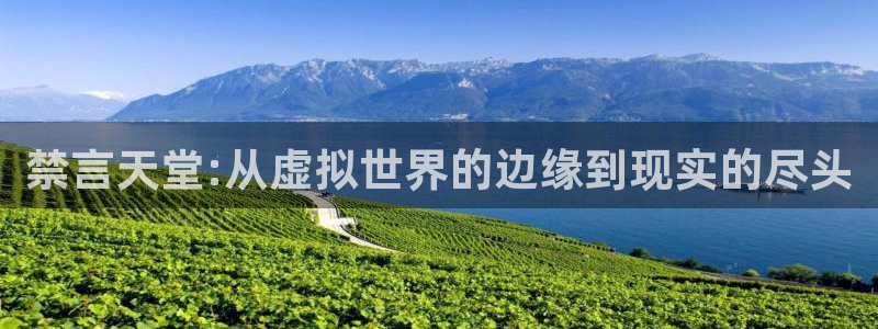 age动漫正版网：禁言天堂:从虚拟世界的边缘到现实的尽头