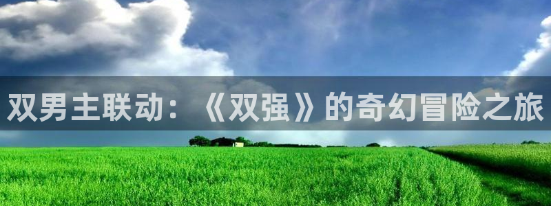 age动漫网下载：双男主联动：《双强》的奇幻冒险之旅