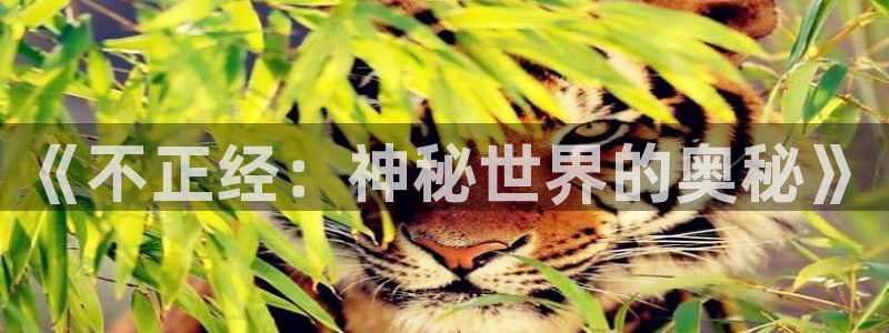 拷贝漫画 copymanager.ory网站