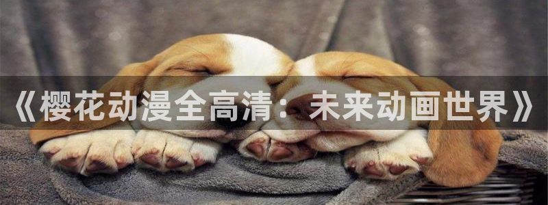 age动漫网