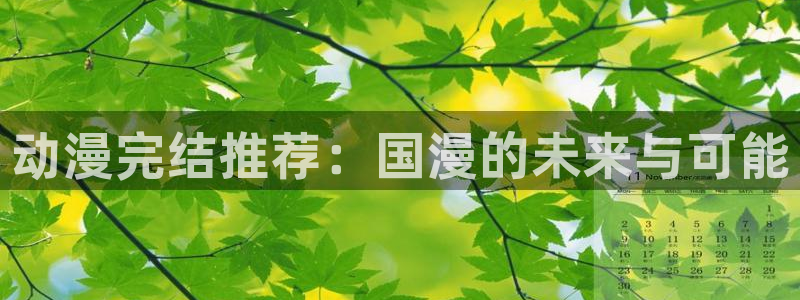 age动漫网下载：动漫完结推荐：国漫的未来与可能