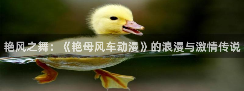 age动漫官网樱花动漫：艳风之舞：《艳母风车动漫》的浪漫与激情传说