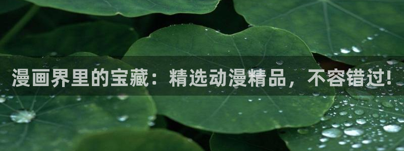 age动漫网官网入口：漫画界里的宝藏：精选动漫精品，不容错过!