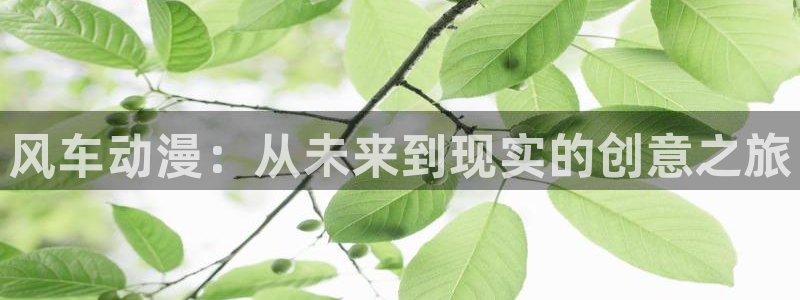 managereader漫画官网入口：风车动漫：从未来到现实的创意之旅