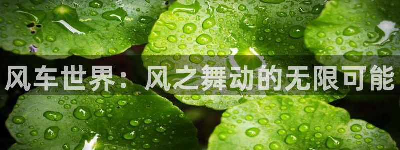 colamanage漫画：风车世界：风之舞动的无限可能