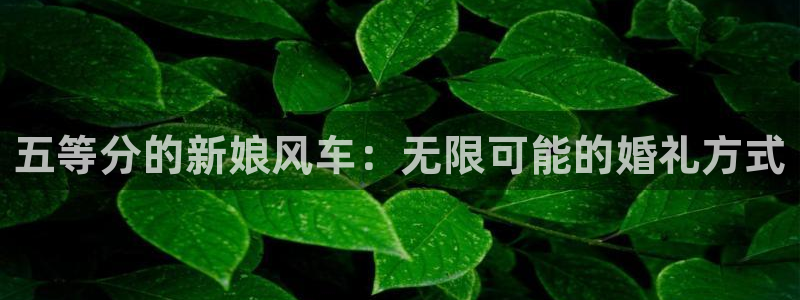 kakaopage韩漫官网：五等分的新娘风车：无限可能的婚礼方式