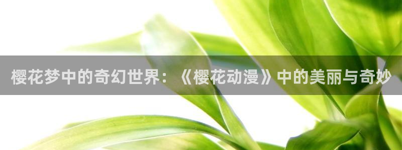 拷贝漫画 copymanager.ory网站：樱花梦中的奇幻世界：《樱花动漫》中的美丽与奇妙