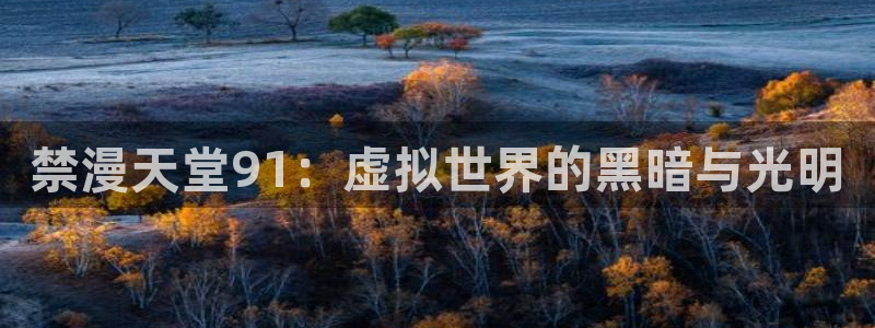 下载age动漫：禁漫天堂91：虚拟世界的黑暗与光明