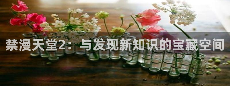 age动漫官网在线入口：禁漫天堂2：与发现新知识的宝藏空间