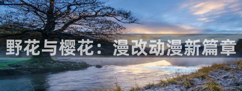 age动漫：野花与樱花：漫改动漫新篇章