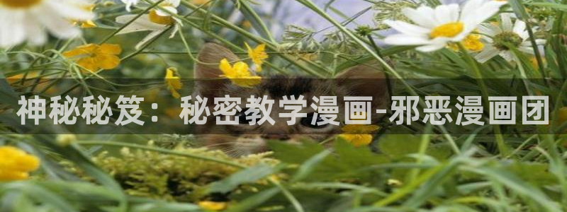 age动漫下载：神秘秘笈：秘密教学漫画-邪恶漫画团