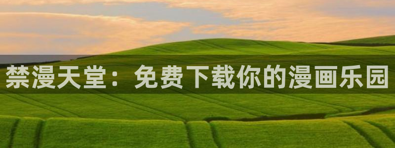 age动漫下载网：禁漫天堂：免费下载你的漫画乐园