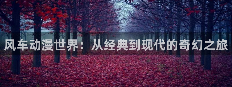 age动漫正版网：风车动漫世界：从经典到现代的奇幻之旅